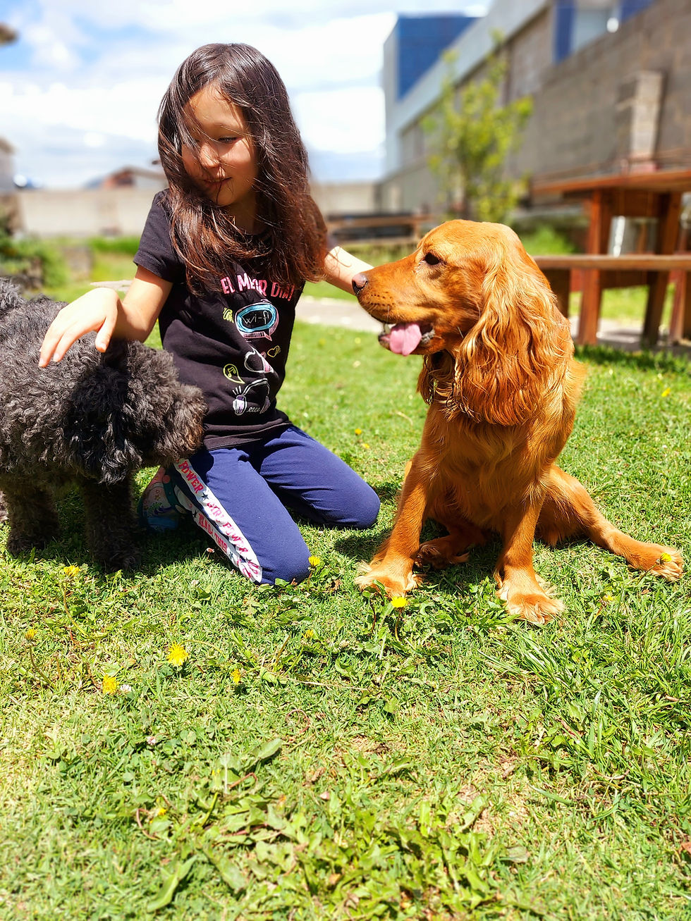 acariciando a dos perritos