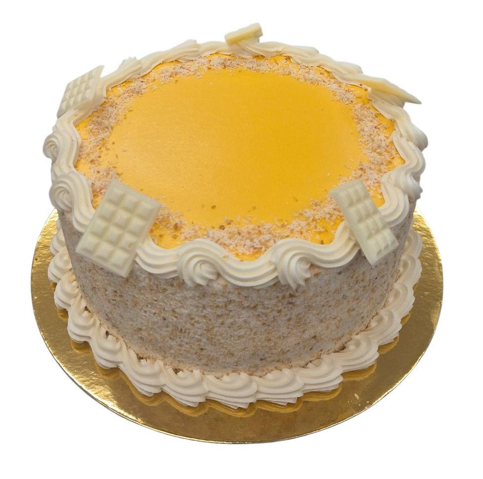 MANGO AND COCONUT MUD CAKE