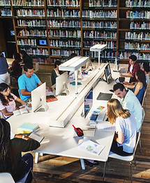 Students in Library