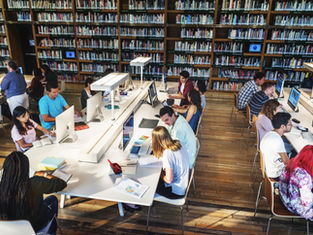 Human-Centred Learning in the Age of AI: A Conversation with Dr Lilit Sargsyan