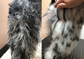 Coat Tamer 5in1 before and after.jpg