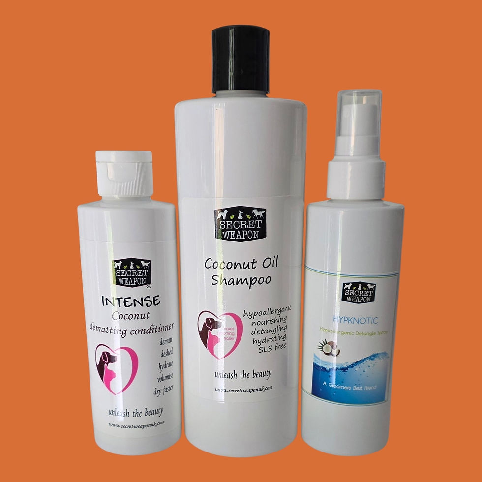 Miniatura: Summer Coconut Care Pack