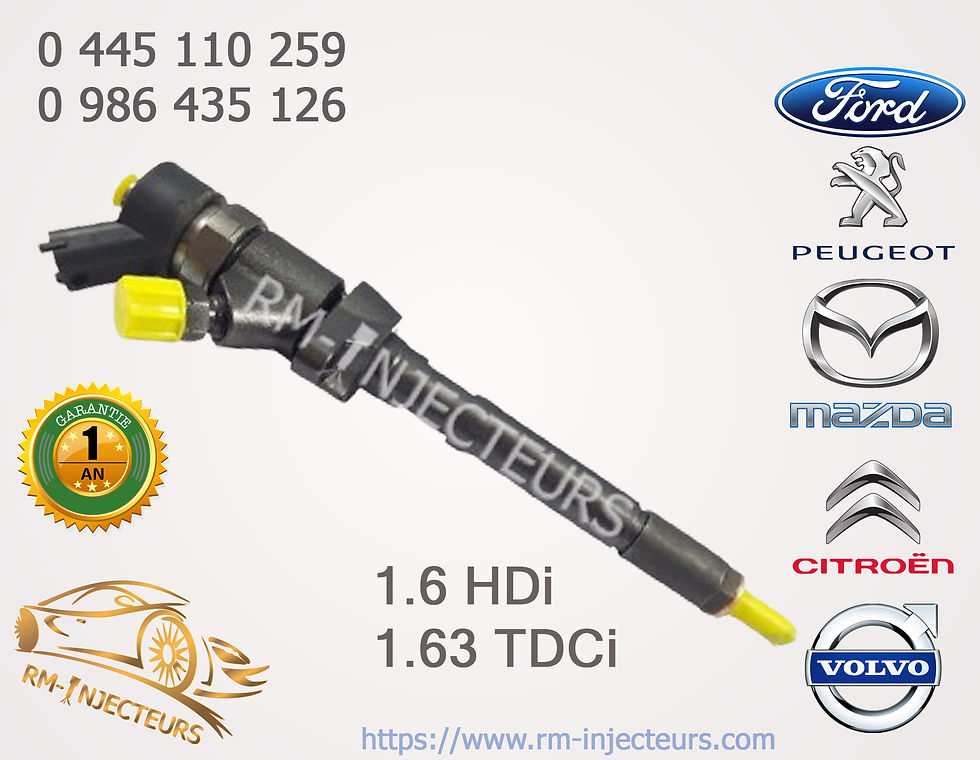 INJECTEUR BOSCH 1.6L HDI 0445110259 - 0986435126