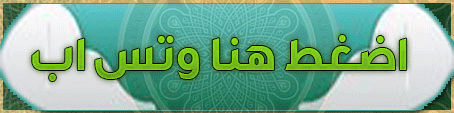 bc2eb7_9c02c7354dbb4a0284dc6452be692f4f~mv2.gif