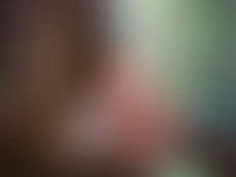 Armas: A Democracia Entre a Propaganda e a Realidade