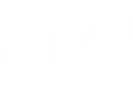OPO logo. White.png