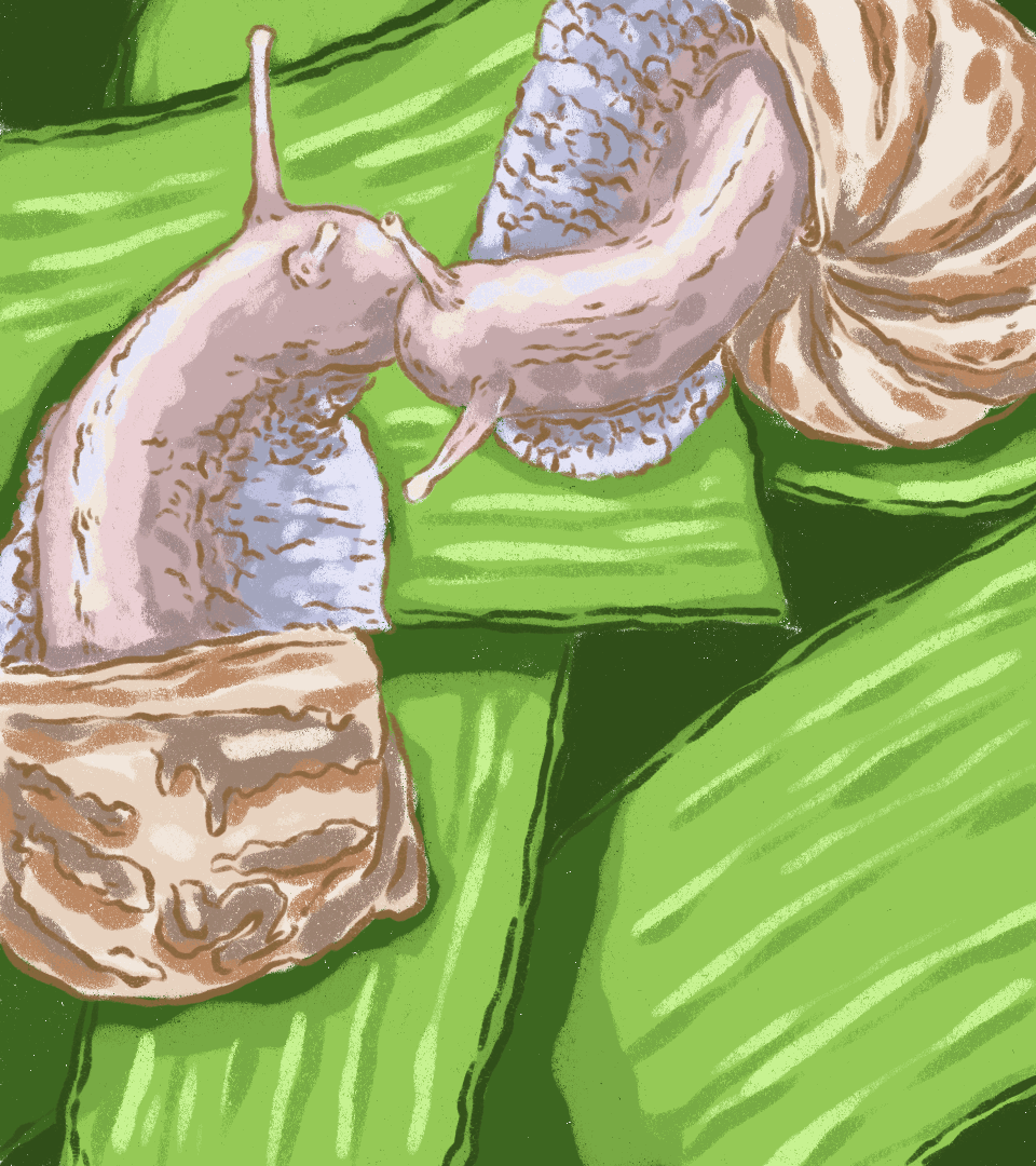 6H_v01.gif