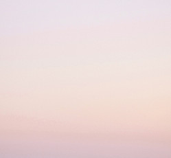 Pink Gradient