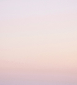 Pink Gradient