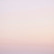 Pink Gradient