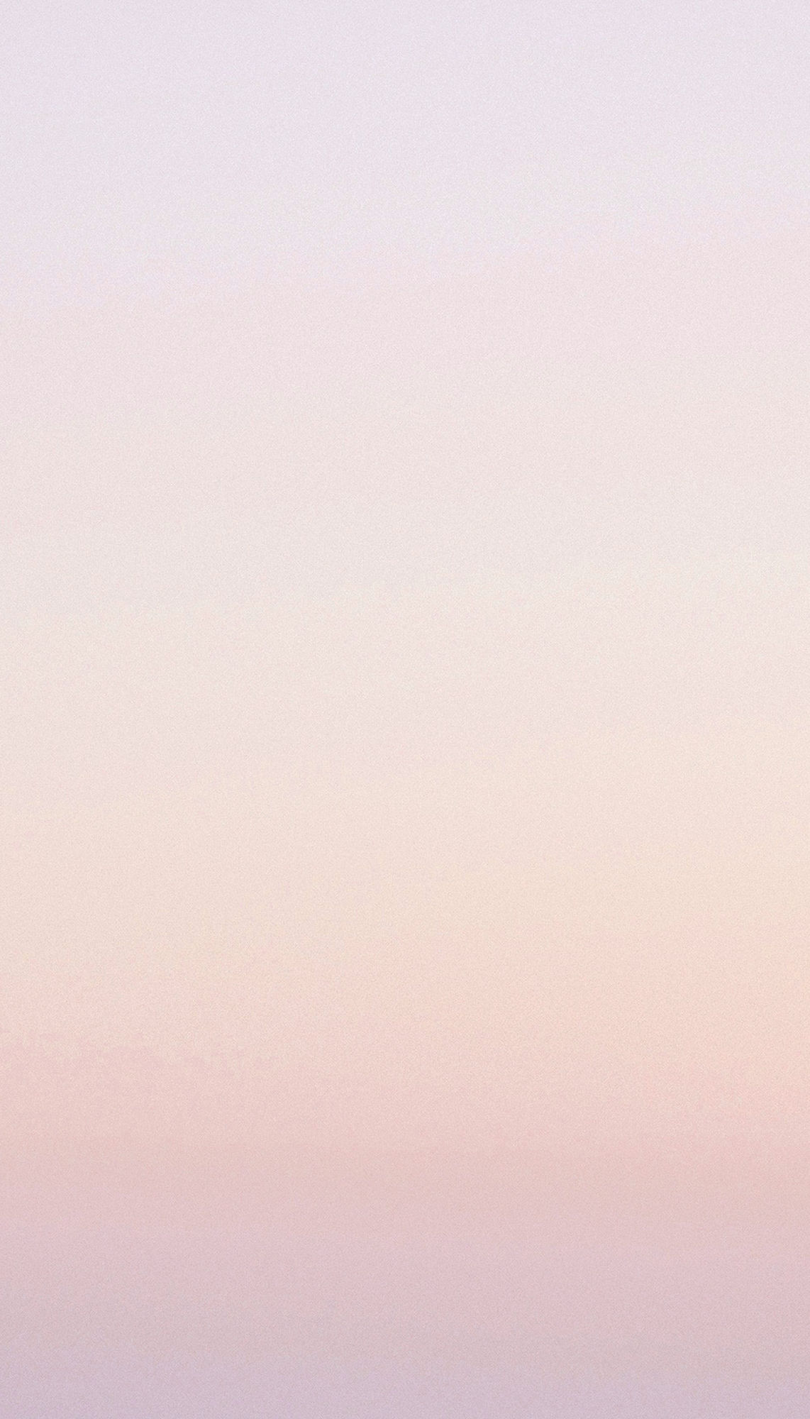rose Dégradé