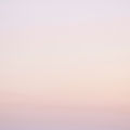 Pink Gradient