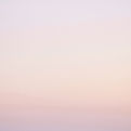 Pink Gradient