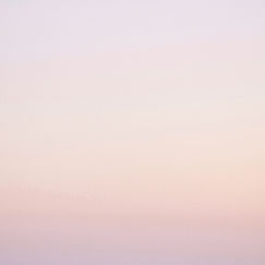 Pink Gradient