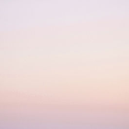 Pink Gradient