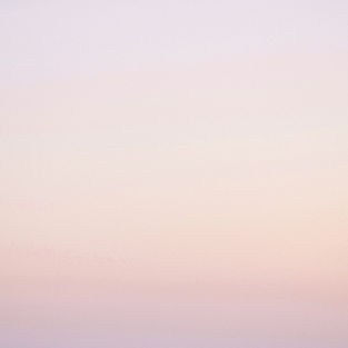 rosa Gradient