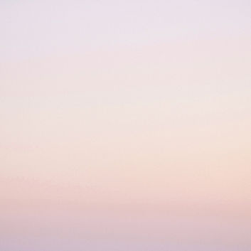 Pink Gradient
