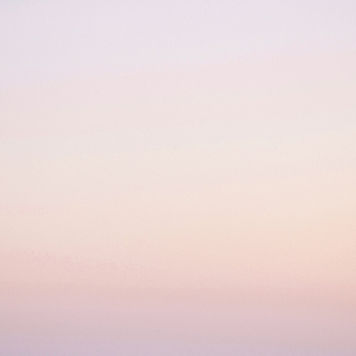 Pink Gradient