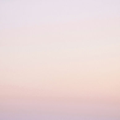 Pink Gradient