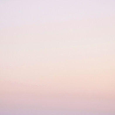 Pink Gradient