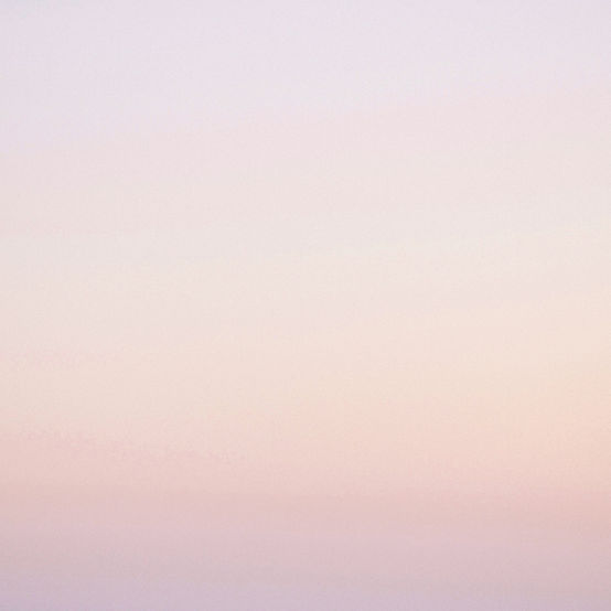 rosa Gradient