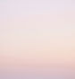 Pink Gradient
