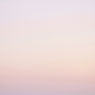 Pink Gradient