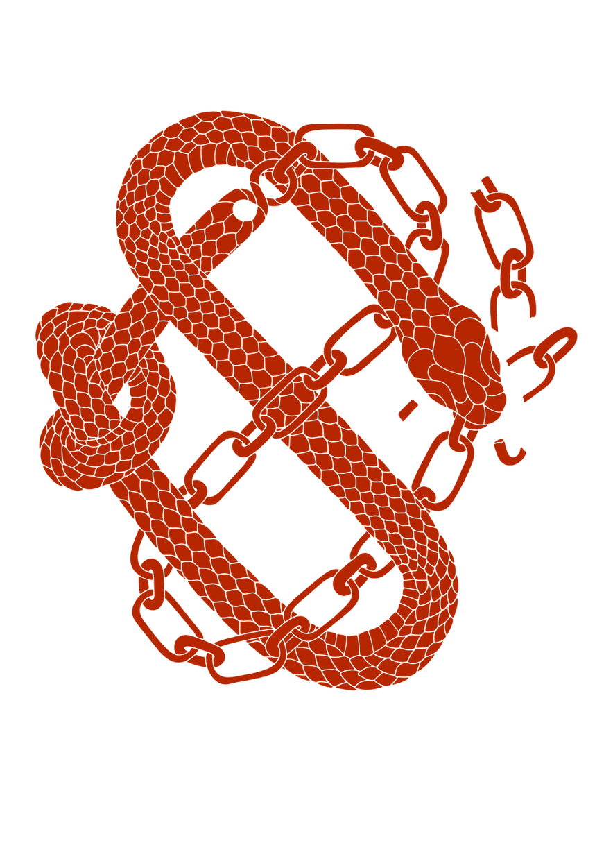 VLF25 Poster (1).png