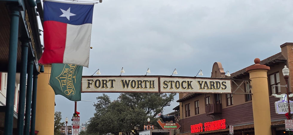Fort Worth Texas service area served by professional rug cleaning company