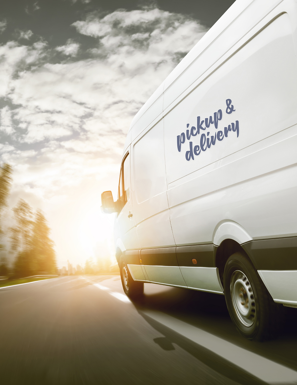 rug pickup and delivery service for professional rug cleaning in Dallas Fort Worth