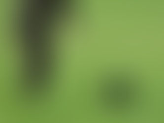 Save the date für die VJGS Spanieltage 2026