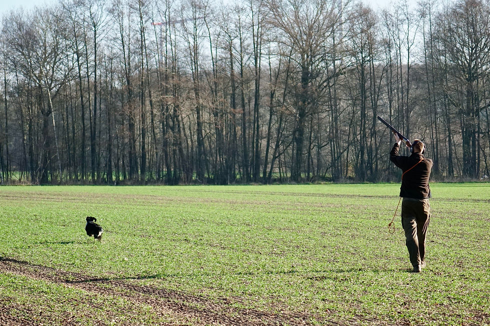 Weitere Frühjahrsprüfung aufgrund der hohen Nachfrage