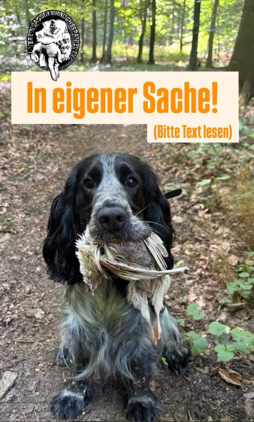 In eigener Sache