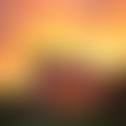 The Best Energy Healing for Your Home