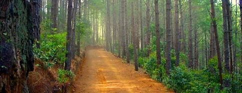 parque-nacional-montecristo.jpg