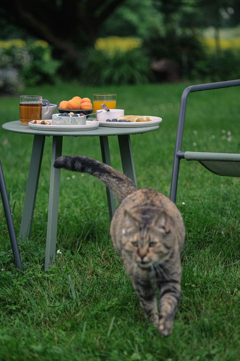 petit dejeuner au jardin
