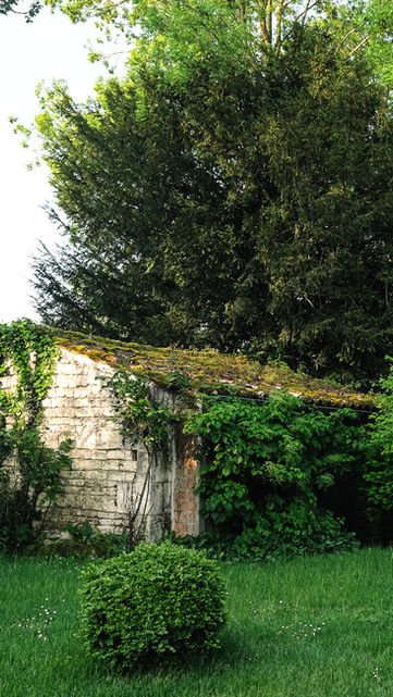 vue sur l'ancien lavoir