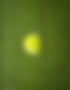 MARCH 2005.png