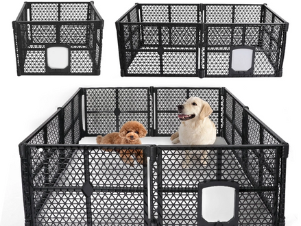'You Should Restrict your Puppy'!