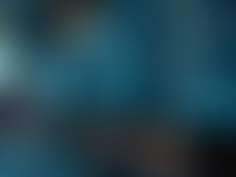 Understanding the Outsourced IT Services Business Model