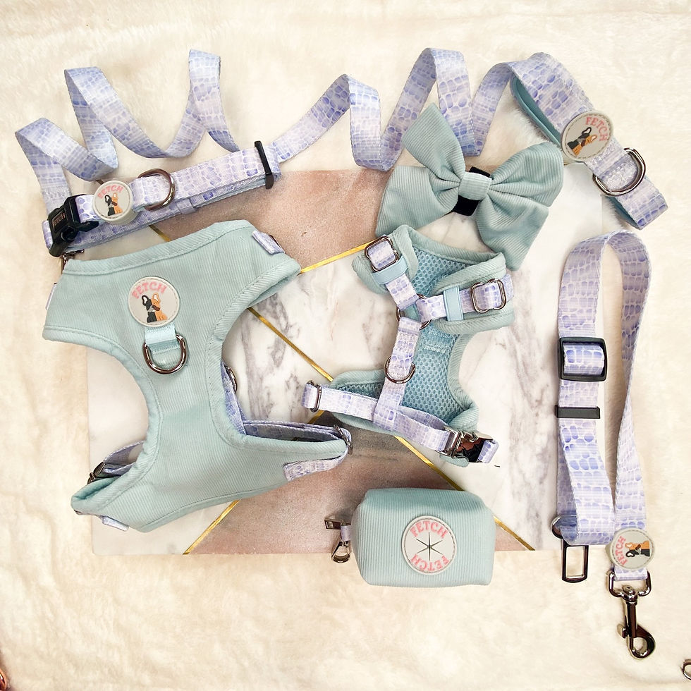 Thumbnail: The Kady - Luxury Cord Dog Harness