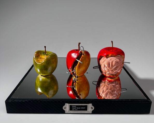 Apples of Awareness | Mixed Media