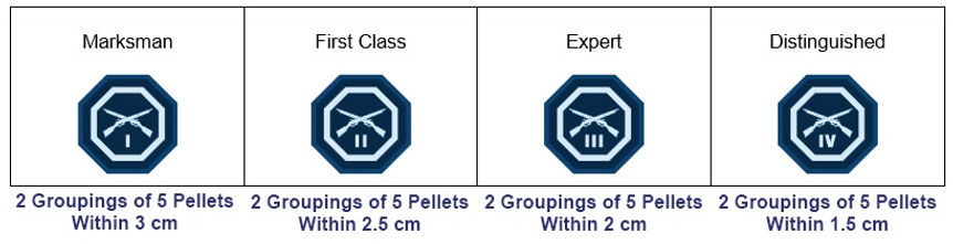 Marksmanship-Badges.jpg