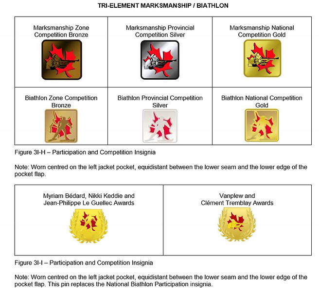 Marksmanship-and-Biatolon-Badges.png