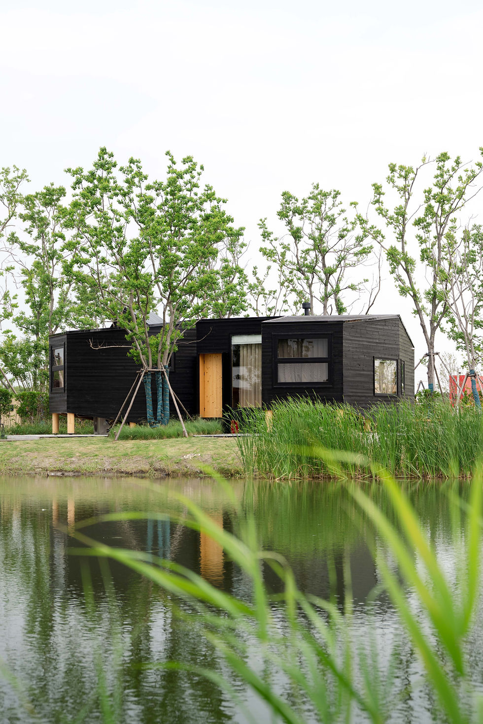 DJARRALY: Dark timber eco cabin beside a pond with planted surroundings