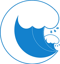 CDS_Icon_Blue.png