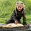 Thumbnail: Vass Waders and Rainwear Kids Fishing Jacket & Trouser set lightweight & waterproof breathable