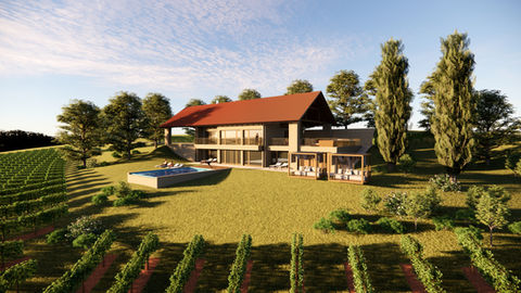 FERIENHAUS ECKBERG 60