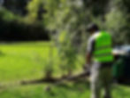 Lawncare 14.jpeg