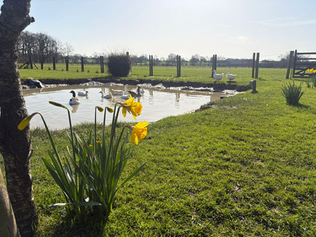 Serving up Spring vibes...